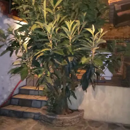 Dom wakacyjny Pelion Traditional Maisonette *